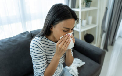 Allergie aux pollens : symptômes, calendrier et solutions pour respirer mieux